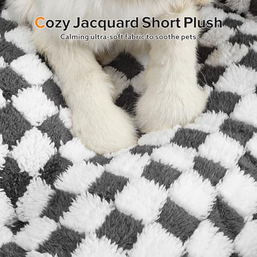 51rheeeysyl.jpg JOEJOY Medium and Small Dog Bed - Orthopedic Sofa Bed for Puppies, Grey JOEJOY Medium and Small Dog Bed - Anti-Slip Plus