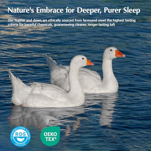 51tsv2igq8l 1.jpg Pacific Coast Goose Feather Down Fiber Comforters Queen Size, Ultra-Soft & Breathable All Season Bedding, 8 Corner & Cen