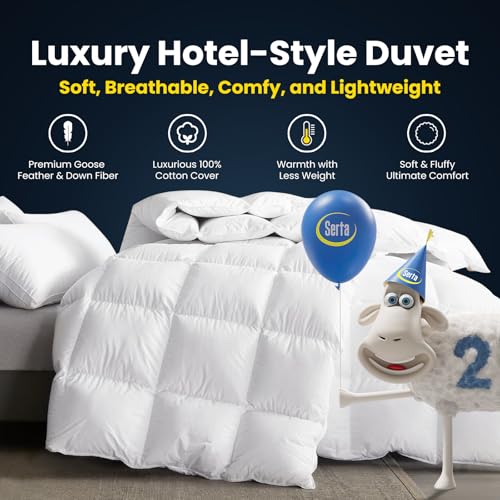 51uuraw0a2l.jpg Serta Goose Feathers Down Fiber Comforter Queen Size Duvet Insert, 100% Cotton, Hypoallergenic Comforter, Hotel Luxury W