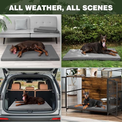51aiv2cqetl 1.jpg Durable Outdoor Waterproof Dog Bed up to 25 lbs for Puppies and Chew Resistance | Durable Outdoor Waterproof Dog Cra