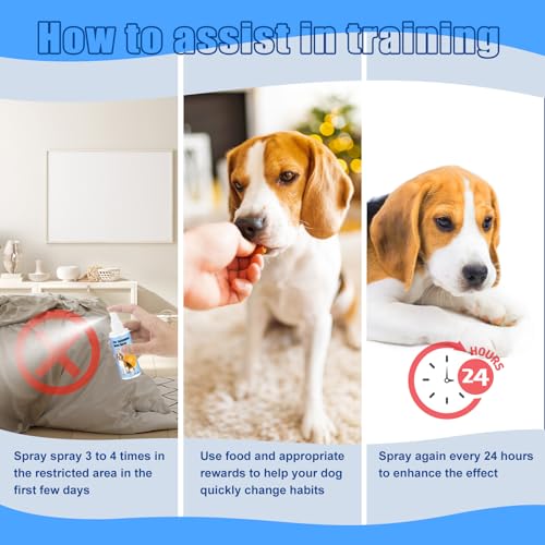 51il6bnag6l 1.jpg No Chew Spray for Dogs 2 Pack (100ML) Natural Ingredients Alcohol Free Deterrent Spray to Stop Chewing Barking Marking a