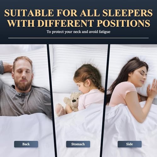 51mrxewn1gl.jpg COZSINOOR Queen Size Hotel Quality Bed Pillows - Down Alternative Microfiber Fill