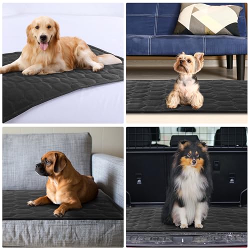 51poznsvjgl 3.jpg Indestructible HOMBYS Dog Blanket for Chew Proof and Waterproof Protection on Furniture, Pet Owners' Favorite, 50"x60