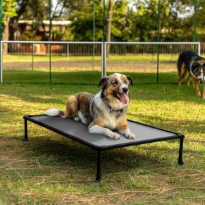 Veehoo Chew Proof Elevated Dog Bed - Durable Raised Platform for Large Dogs - Training Aid for Place and Agility