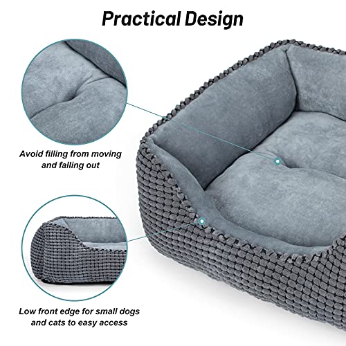 51rrk2tj5zs 1.jpg MIXJOY Orthopedic Dog Bed for Large Dogs - Rectangle, Washable, Anti-Slip Bottom, Multiple Sizes (25'', Grey) MIXJOY O