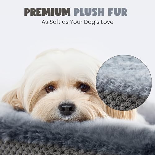 51t4gfquqzl.jpg Orthopedic Dog Bed for Large Dogs, Washable and Soft with Anti-Slip Bottom (Grey) Washable Oval Dog Couch Bed with Sid