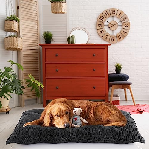 51vomlquqrl.jpg MABOZOO Chew Proof Indestructible Dog Beds for Aggressive Chewers, Durable & Washable, Black, M 18x29 in MABOZOO Chew Pr