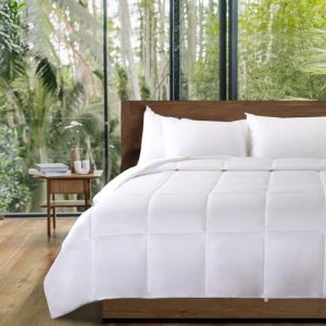 NEXHOME PRO Bamboo Viscose Cooling Comforter for Hot Sleepers, White Queen Lightweight Duvet Insert, 8 Corner Tabs(90"x