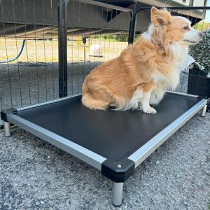 FXW TitanNest Cooling Chew-Proof Elevated Dog Bed for Medium and Large Dogs |Indoor/Outdoor/Camping Use Waterproof &